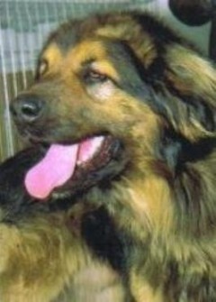 Bild "ueber-uns.jpg"